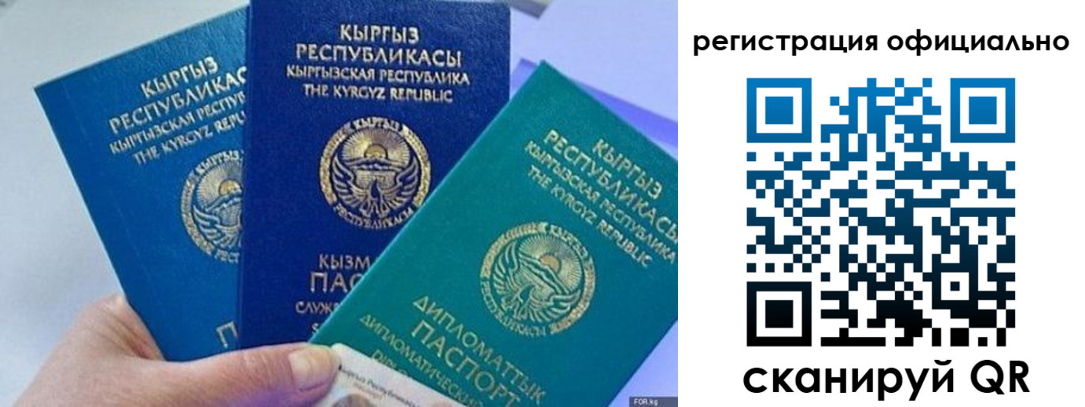 прописка в Боготоле